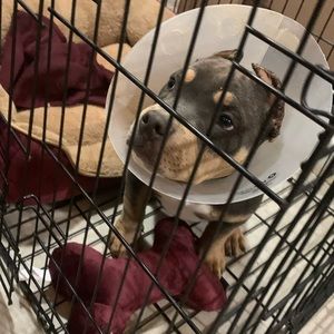 Meet your Posher, Reyna